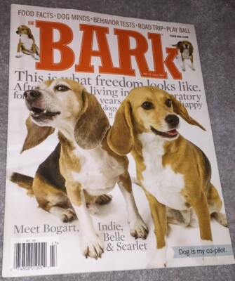The Bark Food Facts Behavior Tests Play Ball Dog Minds Fall 2014