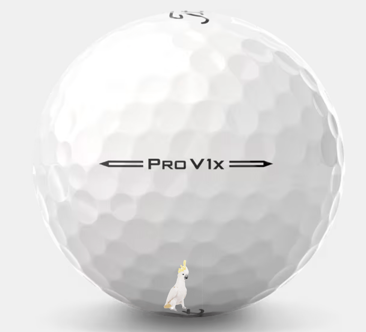 24 Titleist Pro V1X 2023 White 24 5A Pro V1X 2023 Used New
