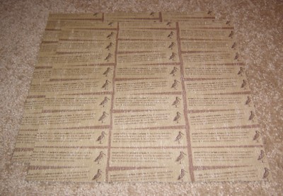 Holey soles essay 07 image