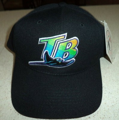 tampa bay rays snapback