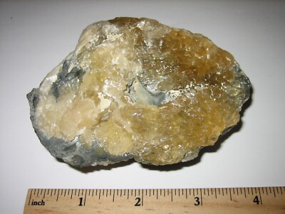 4'' x 2.6'' BEAUTIFUL GOLDEN CALCITE CRYSTAL ON FOSSIL CLAM FLORIDA USA 282.6g *A1