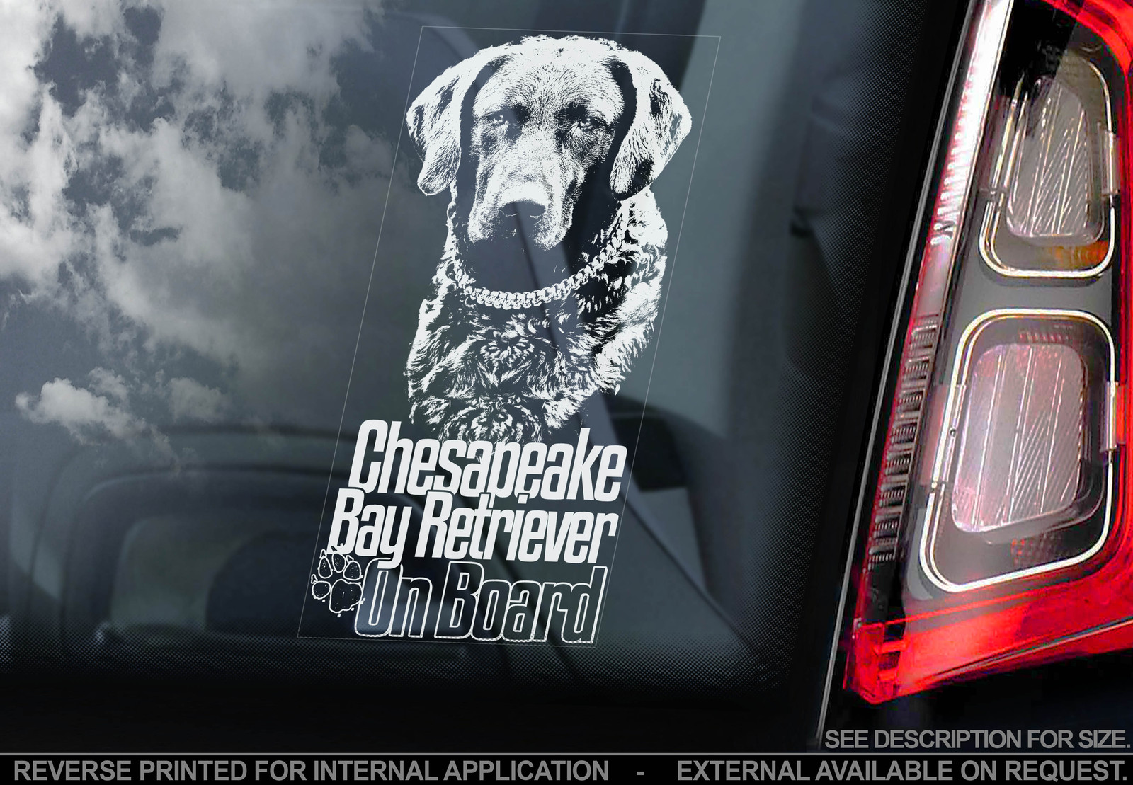 ENGLISH SETTER ON BOARD Car Sticker By Starprint