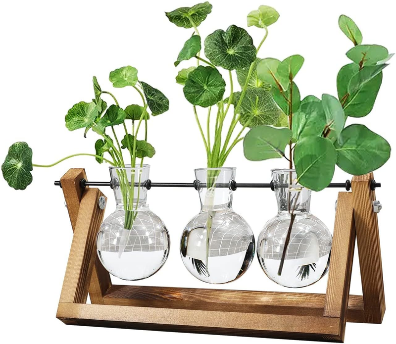 Plant Terrarium with Wooden Stand, Air Planter Bulb Glass Vase Metal Swivel Hold