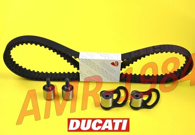 CINGHIE DISTRIBUZIONE + 4 TENDITORI DUCATI Monster S2R1000 73740211A SM 45120211