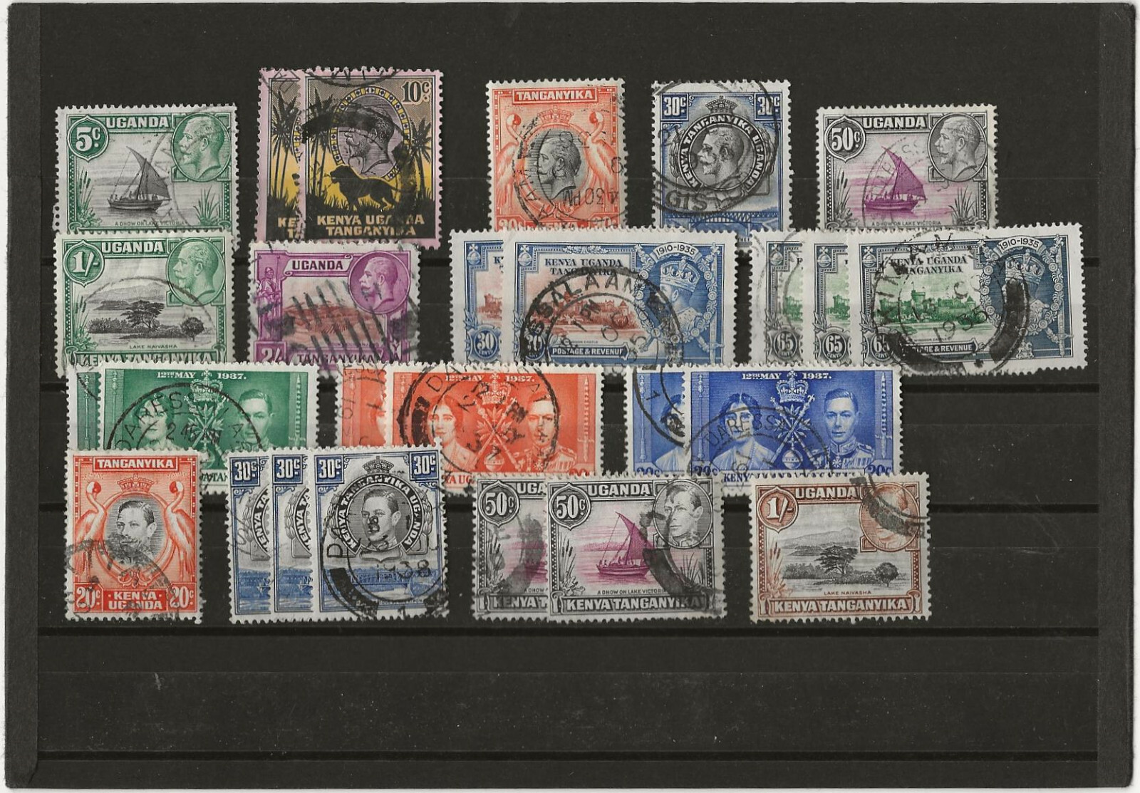 Kenia & Uganda Bestseller 2021 🥇 Die beliebtesten im Vergleich - top