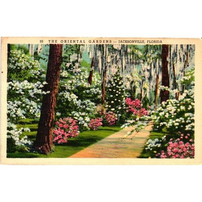 Vintage 1941 The Oriental Gardens Jacksonville Florida Linen Postcard 33 Flowers