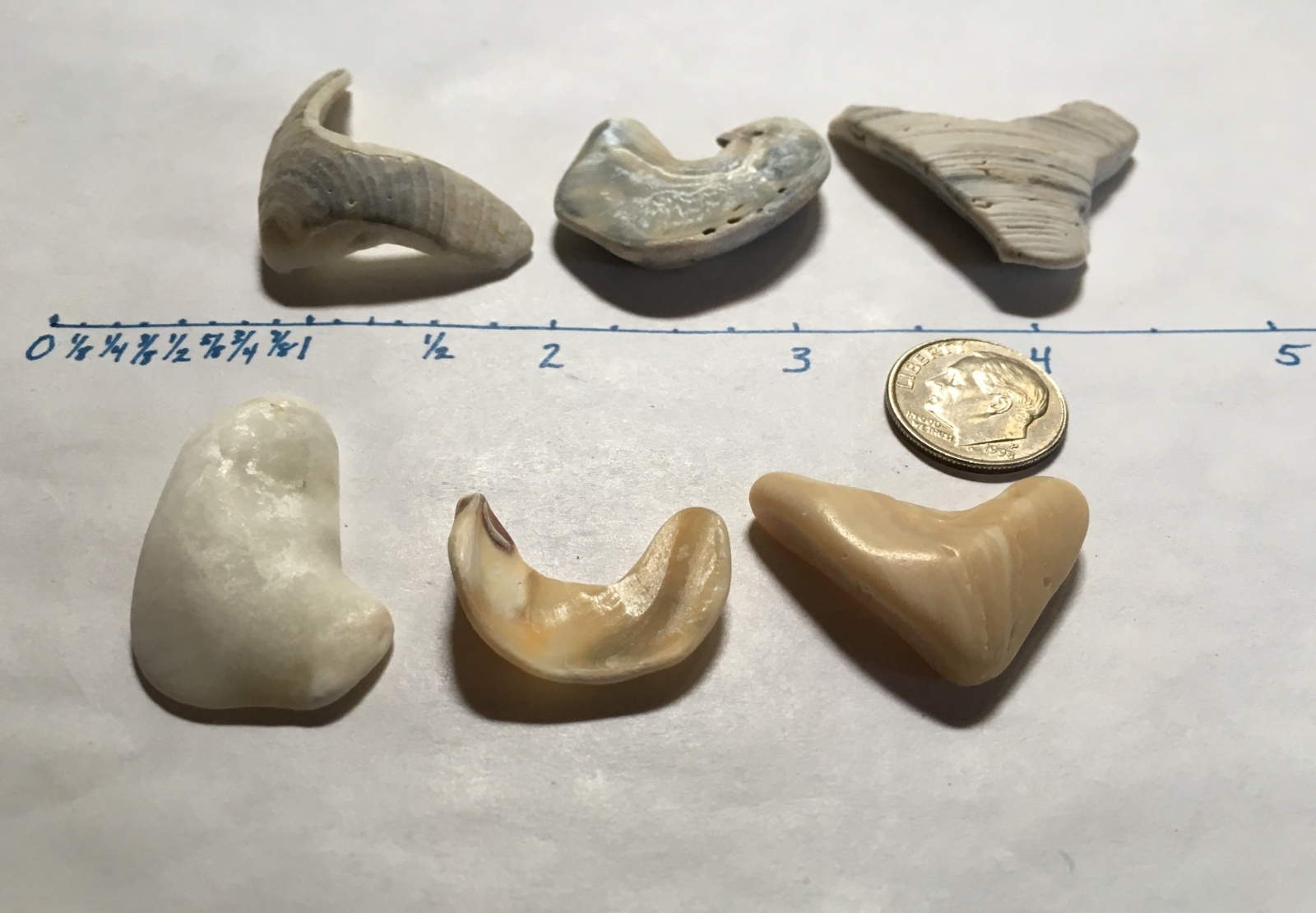 2 Sets Natural Letter Shaped Beach Shells