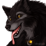 shadowwolffr