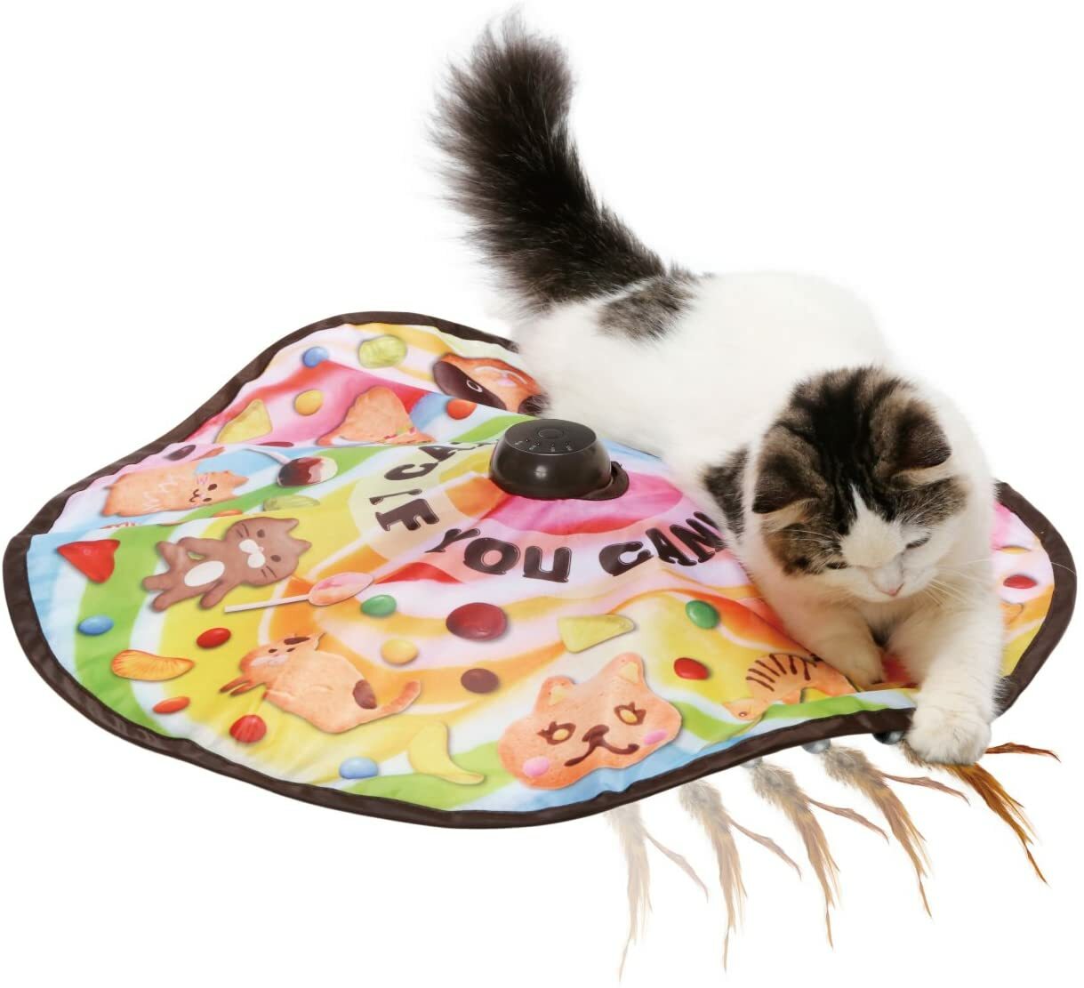 Catch Me If You Can 2 Pet Supplies Japan Import F/s