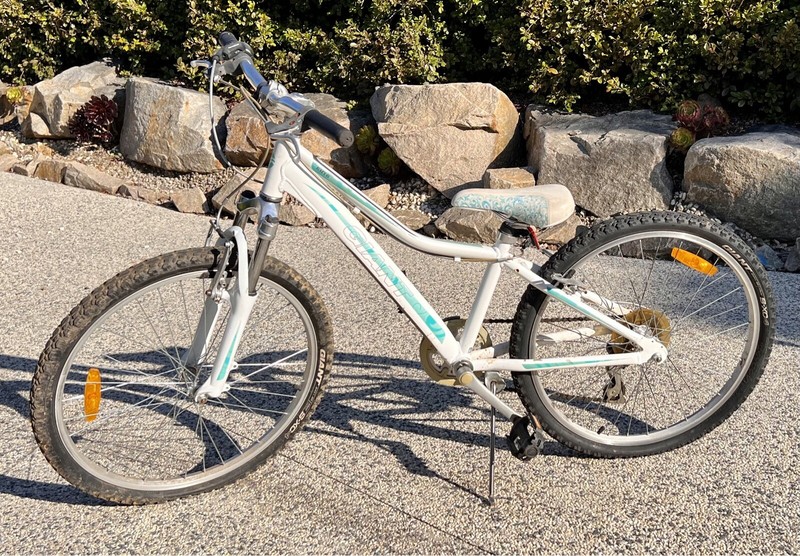 Girls Giant MTB 24 inch 7 speed | Kid's 