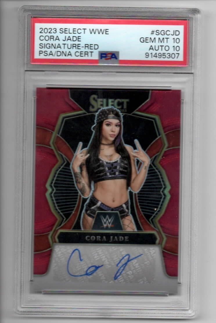 WWE PANINI PAIGE 25シリ　サイン　Tie-Dye　カード WWE PANINI PAIGE 25シリ サイン Tie-Dye カード