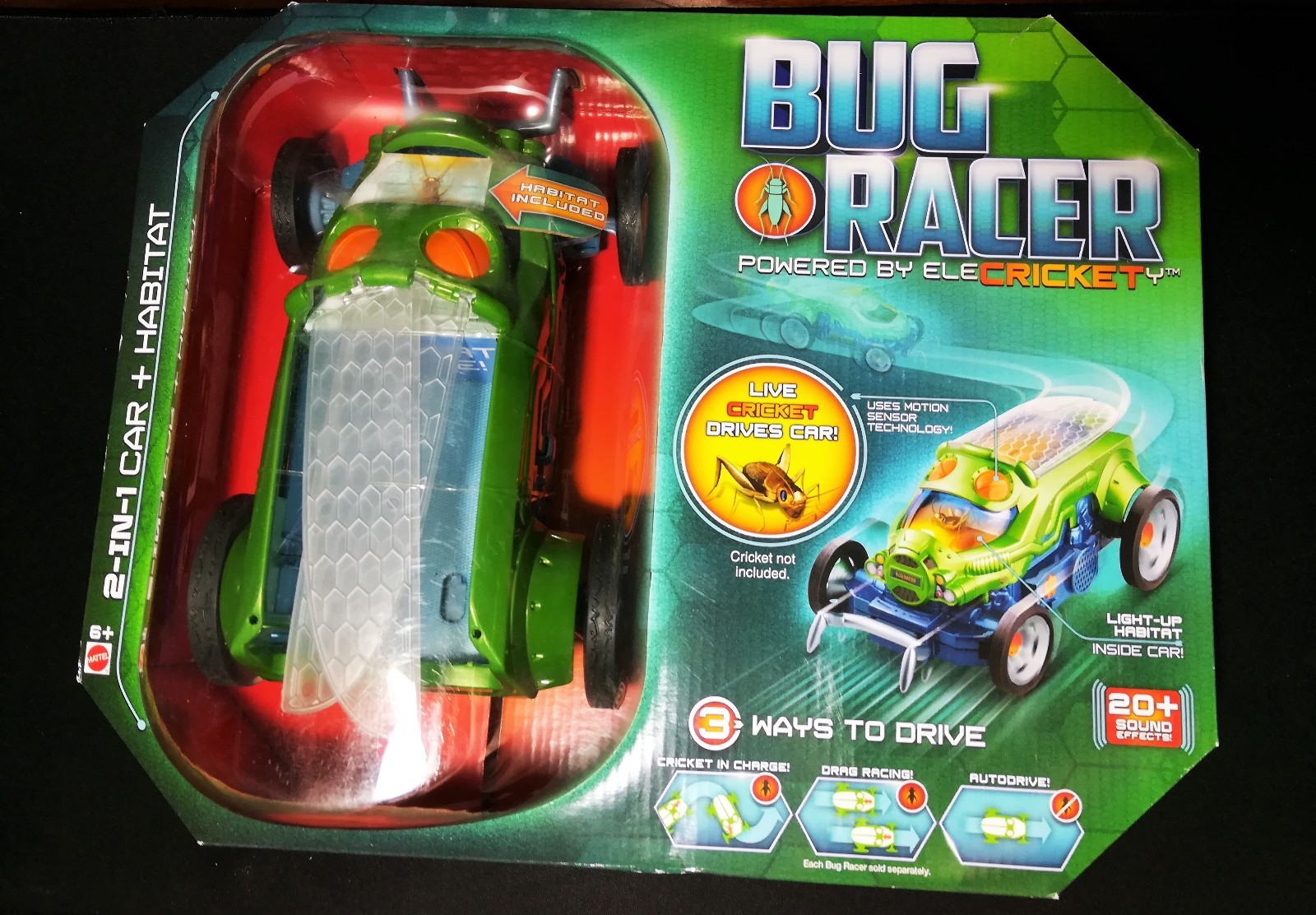 bug racer car