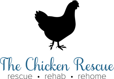 The Chicken Rescue