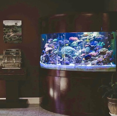 400 GAL MONSTER AQUARIUM FOR SALE! GLASS corner bow aquarium tank wood stand