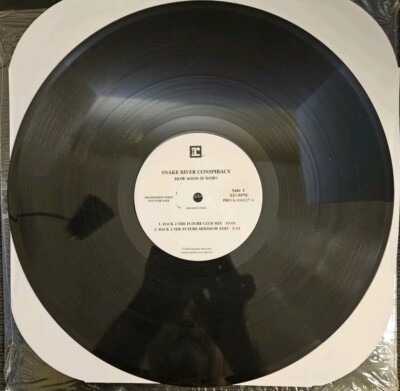 Snake River Conspiracy - How Soon Is Now? Promo 12'' Vinyl Club Mix Single