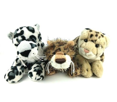 ganz cheektowaga dog