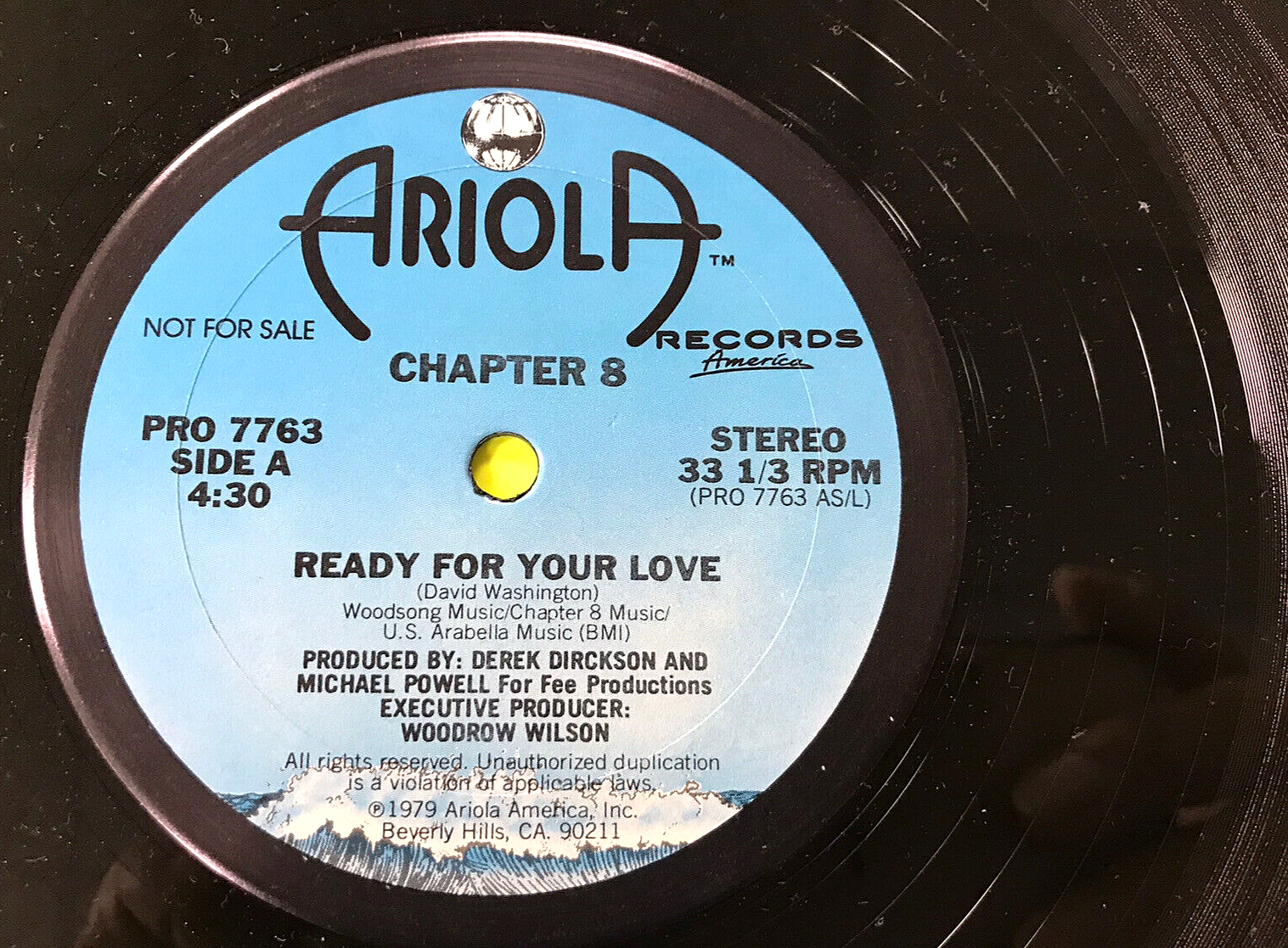 CHAPTER 8 Ready For Your Love 1979 12