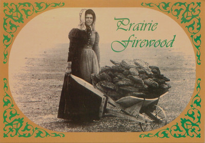 Kansas History-Pioneer Ada McColl W/Buffalo Chips For Fire-Vintage 4x6 Postcard