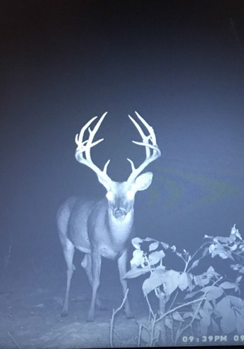 3 Day Semi Guided Archery Hunt $1000.
