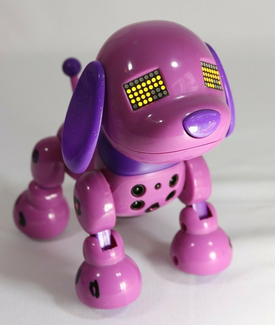 テレビ puppy _57.JPG?set_id=8800005007