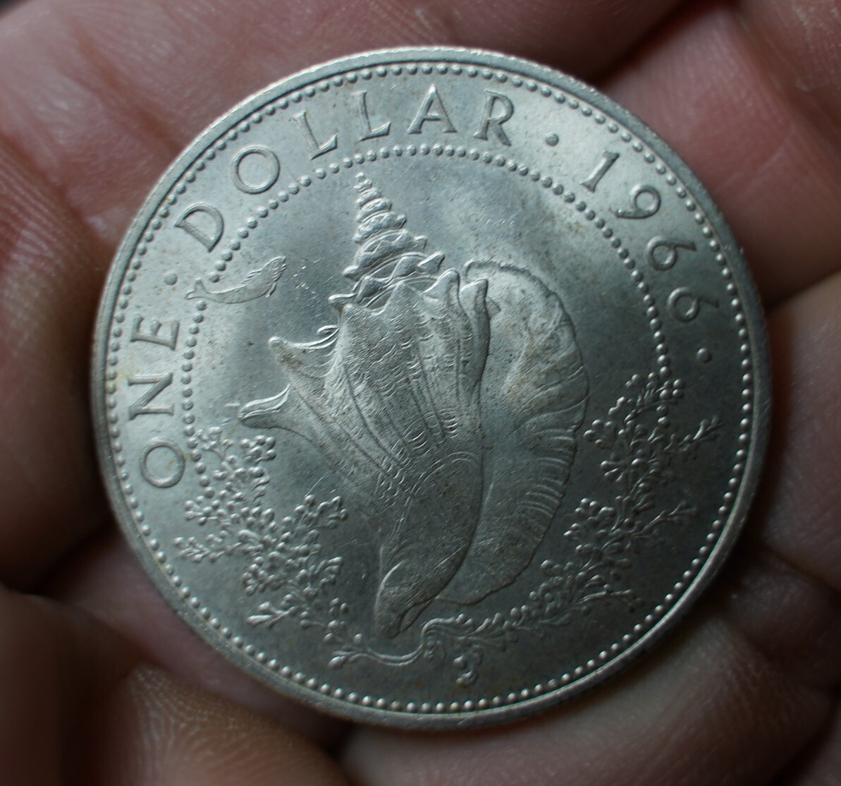 1966 Bahama Islands Conch Shell One Dollar coin silver 80