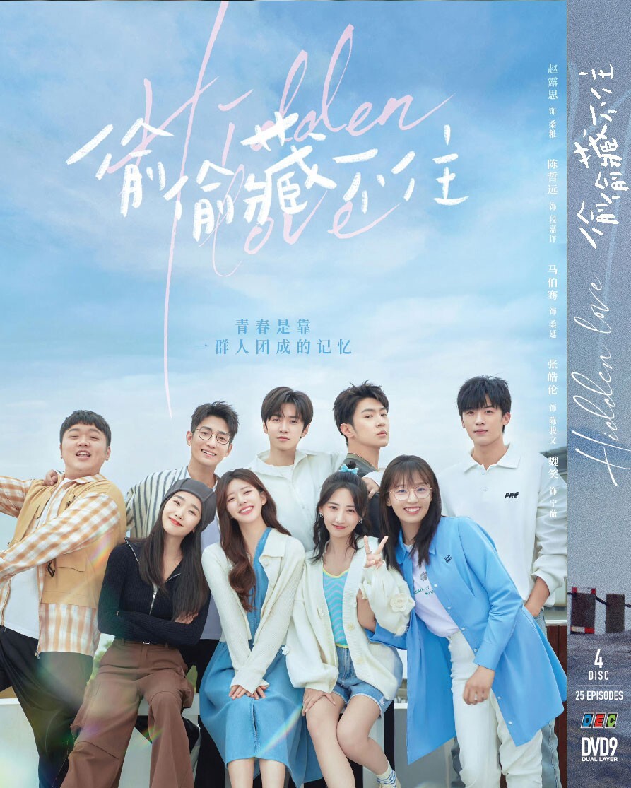 HIDDEN LOVE 偷偷藏不住 VOL.1-25 END CHINESE DRAMA DVD