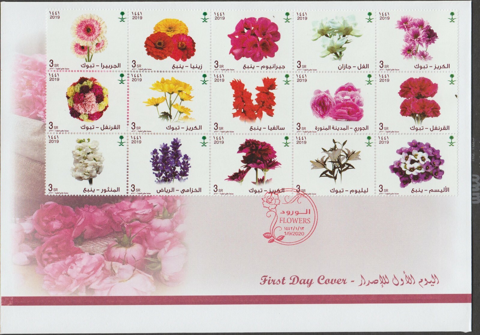 FLowers of Saudi Arabia サウジアラビアの花 $_57.JPG?set_id=8800005007