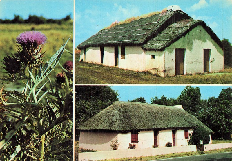 85 Bourrine Bourrines Dans Le Marais