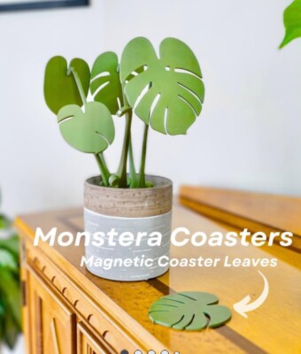 Monstera Plant Coasters - Magnetic Coaster Set