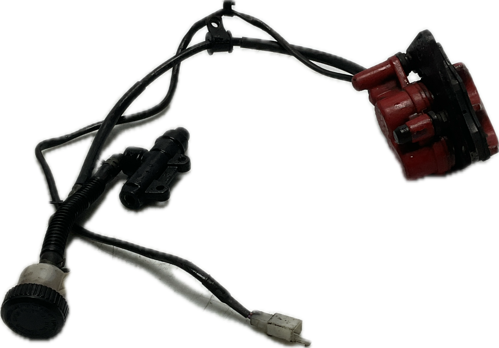 Pinza freno con pompa posteriore per BENELLI BN125 anno dal 2018 ricambio usato