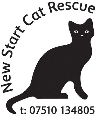 New Start Cat Rescue