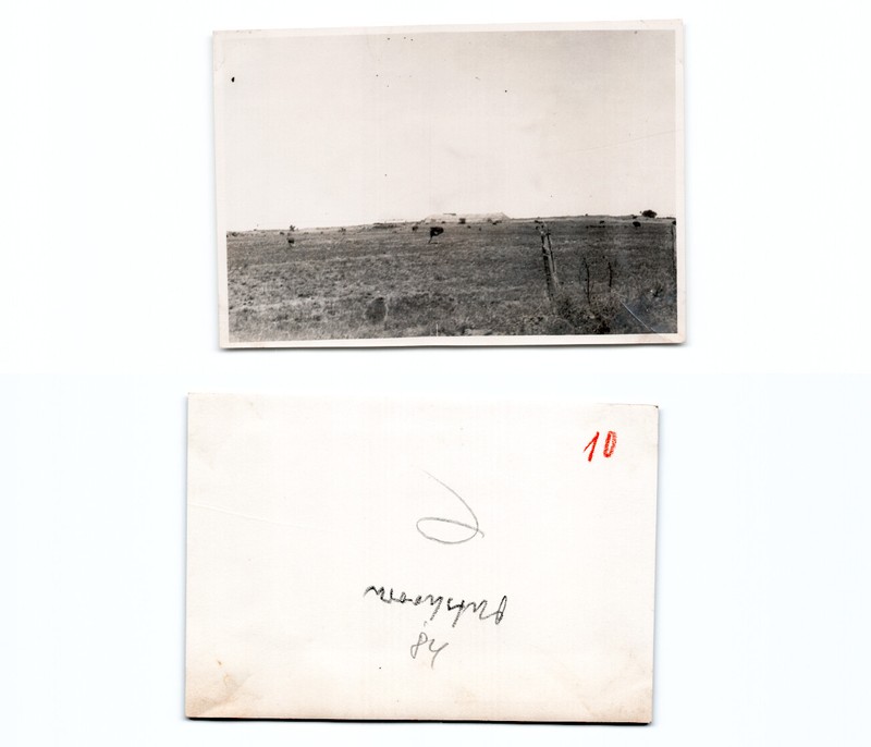 (K1123384)   Oudtshoorn Sï¿½Dafrika Gardenroute  1929, Halbjï¿½Hrige Afrikareis