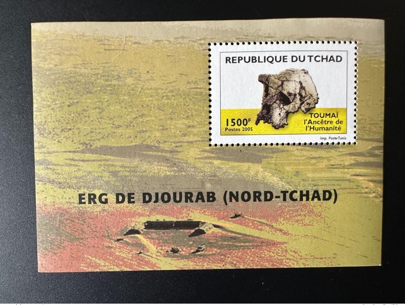 Tchad Chad Tschad 2005 Mi. Bl. 406 ToumaÃ¯ L'AncÃªTre De L'HumanitÃ©