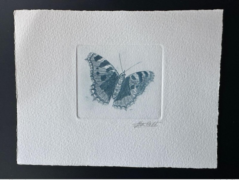 Belgique 1993 Cob 2506 Epreuve D'Artiste Proof Papillon Butterfly Aglais Bleu