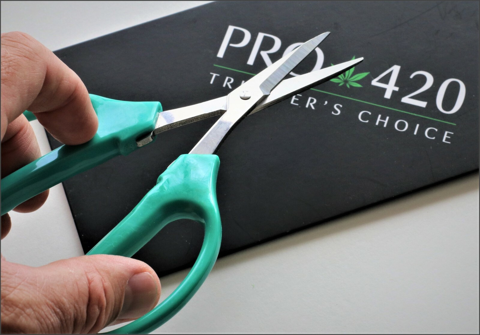 Bud Trimming Scissors by PRO 420 2 pack PRUNING TRIMMING HARVEST