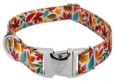 Country Brook Petz  Premium Brisk Autumn Dog Collar