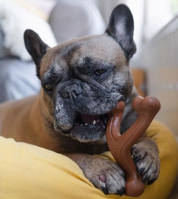 Nylabone Ergonomic Hold & Chew Wishbone Power Chew Durable Dog Toy 1ea/Large - U