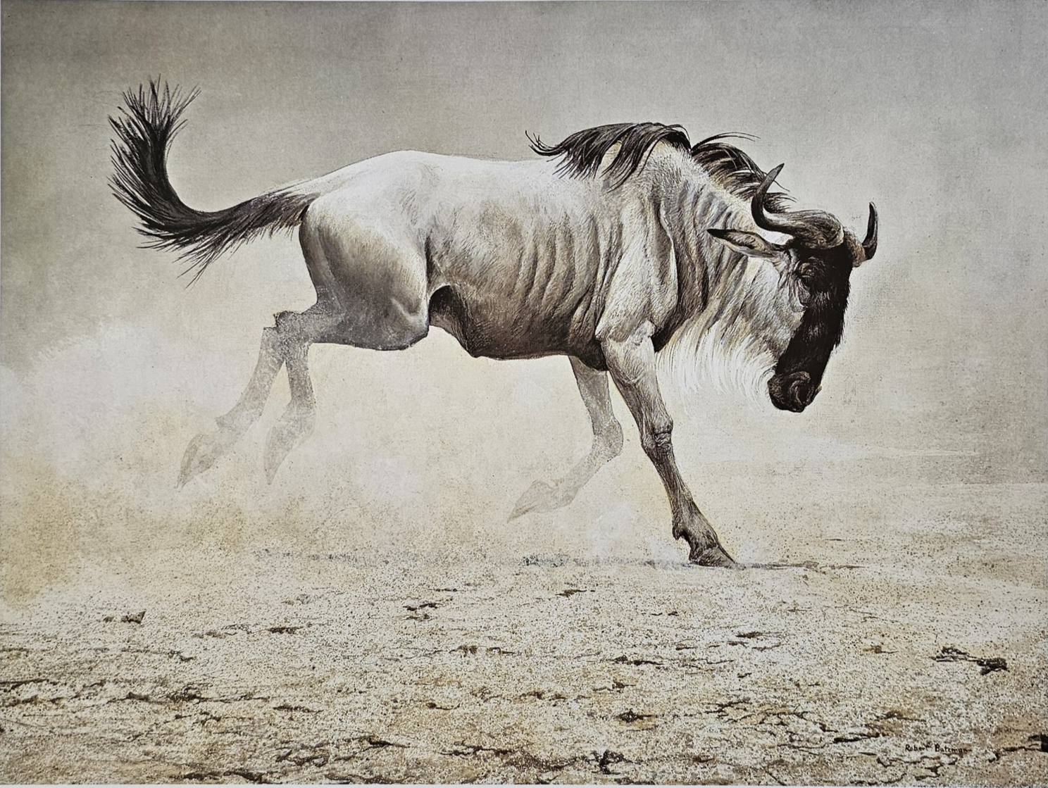Robert Bateman Wildebeest 1988 Wildlife Bookplate