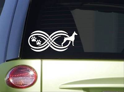 Tribal Doberman Infinity Sitcker *I814* 8.5 inch wide Doberman Pinscher decal
