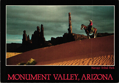 The Land Without Beginning or End Monument Valley AZ Postcard Unposted Petley