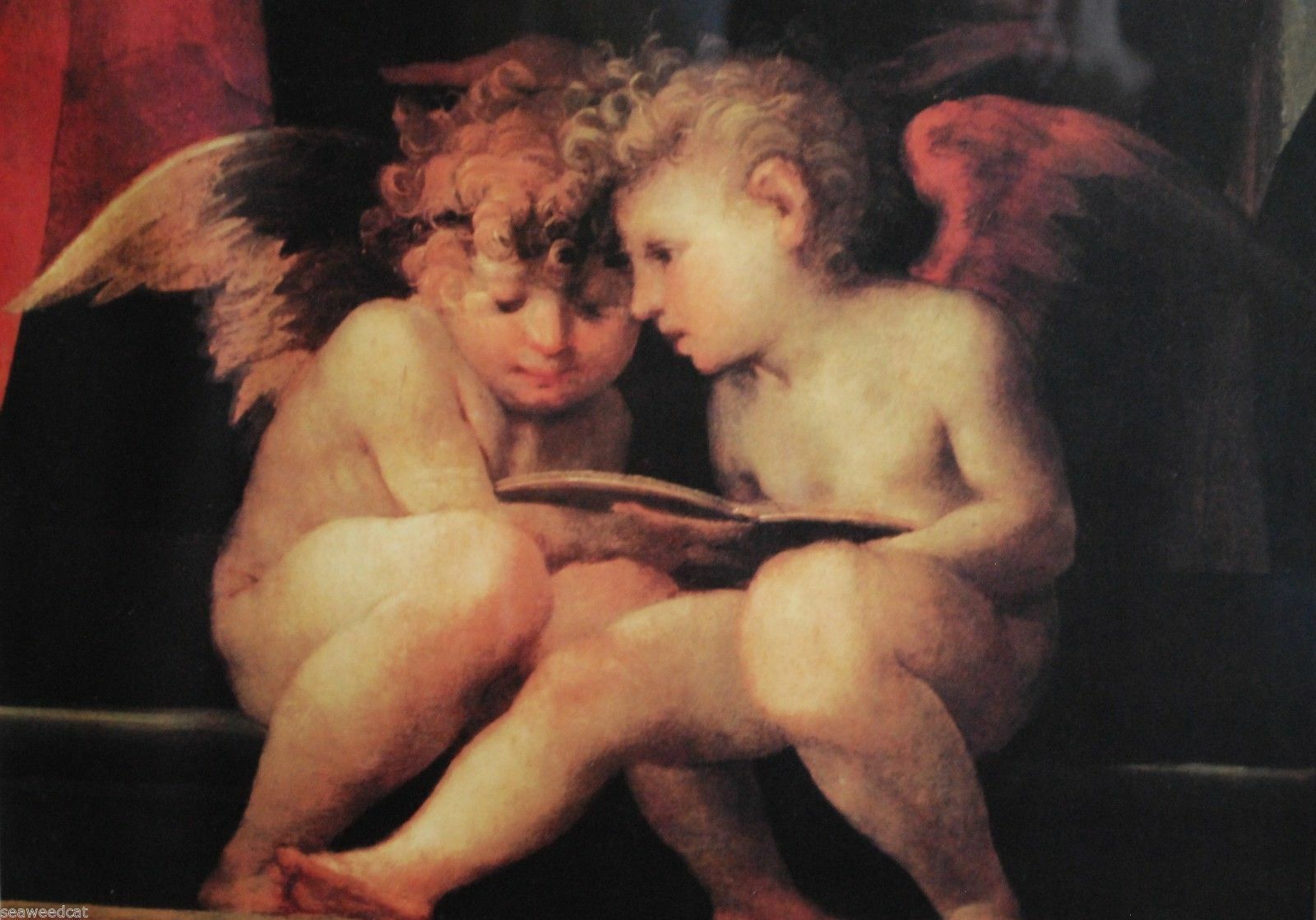 Two Cherubs Reading by Giovanni Battista di Jacopo Rosso