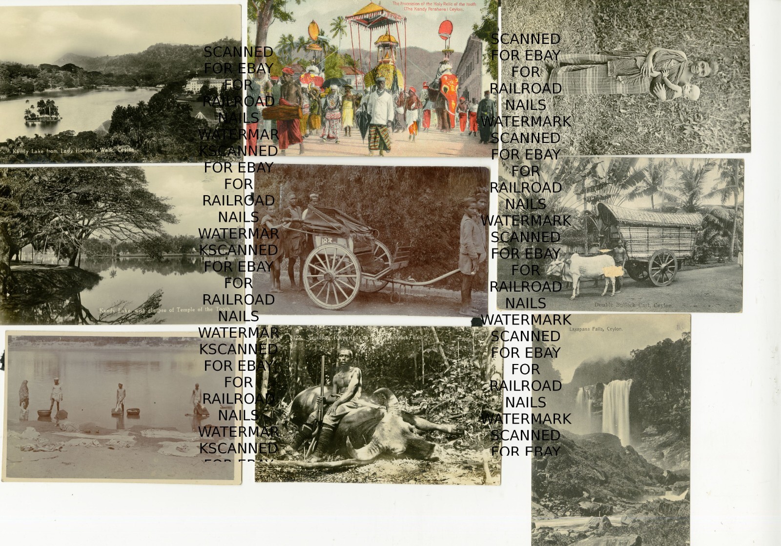 Lot of 9 Early 1900s Ceylon Postcards Some RPPC