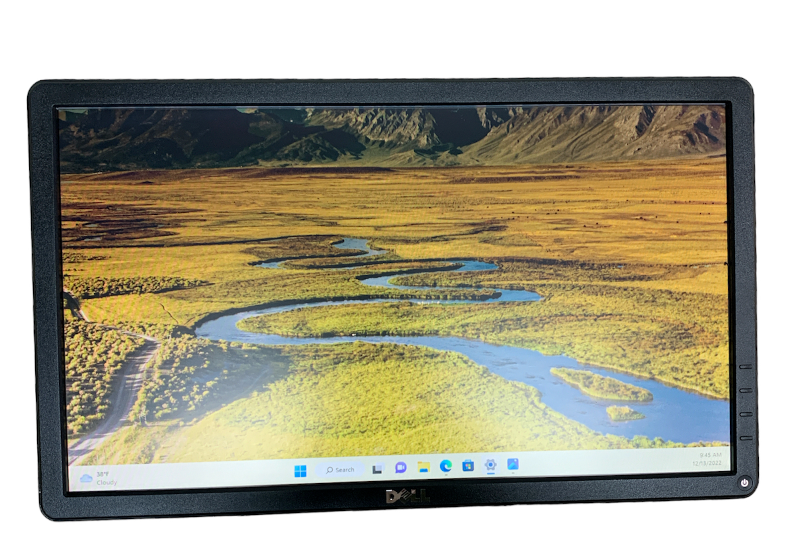 DELL E1914H 19