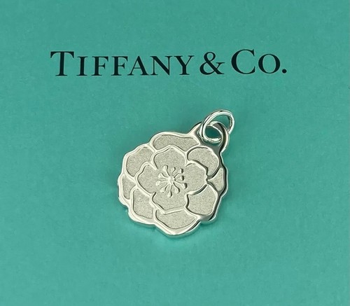 Tiffany ネックレス GO WOMEN　2023 # TIFFANY&Co. ティファニー ネックレス ペンダント GO WOMEN 2023
