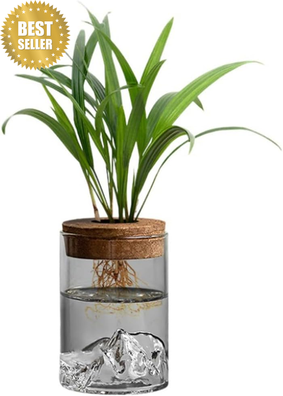 4Pcs Desktop Plant Terrarium Glass Hydroponic Vases, Office Desktop Pots, Plants