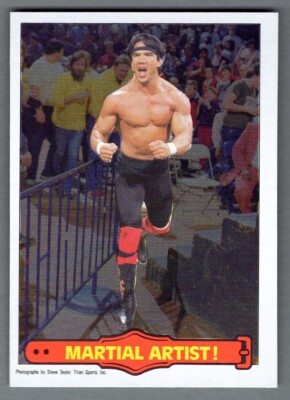 1985 O-Pee-Chee WWF Series 2 Mint Condition #16 Ricky 