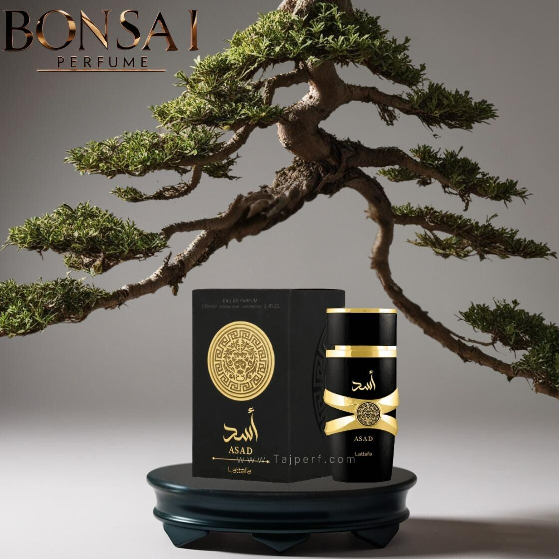 香水(男性用) lattafa asad eau de parfum100ml 3.4fl.oz Amazon.com : Lattafa Perfumes Asad for Unisex Eau de Parfum