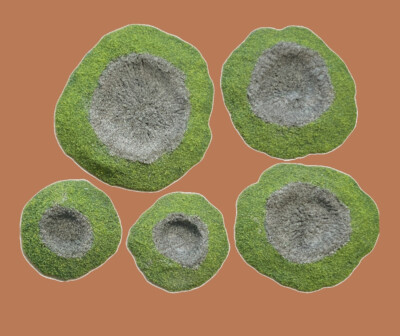 Bomb Shell Explosion Craters, Grass/ Dirt 1/72 Scale 20mm 28mm