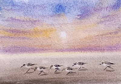 original watercolor painting ACEO Sandpipers wading bird  beach Sunset Sea #SIBY