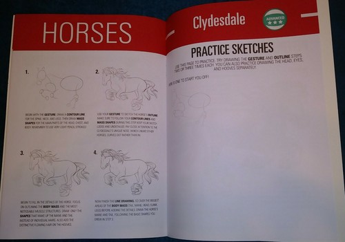 I-Draw Horses and Dolphins Guide 2 Book Set **NEW